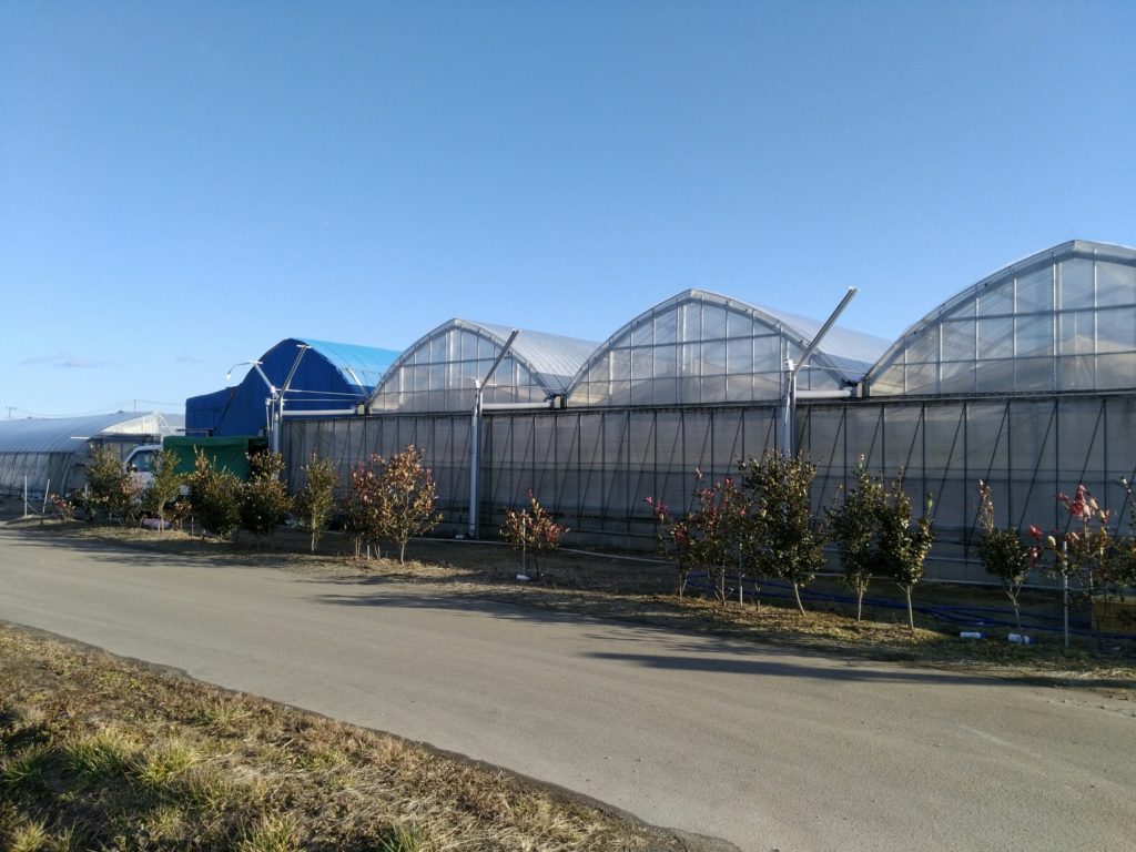 菅野農園