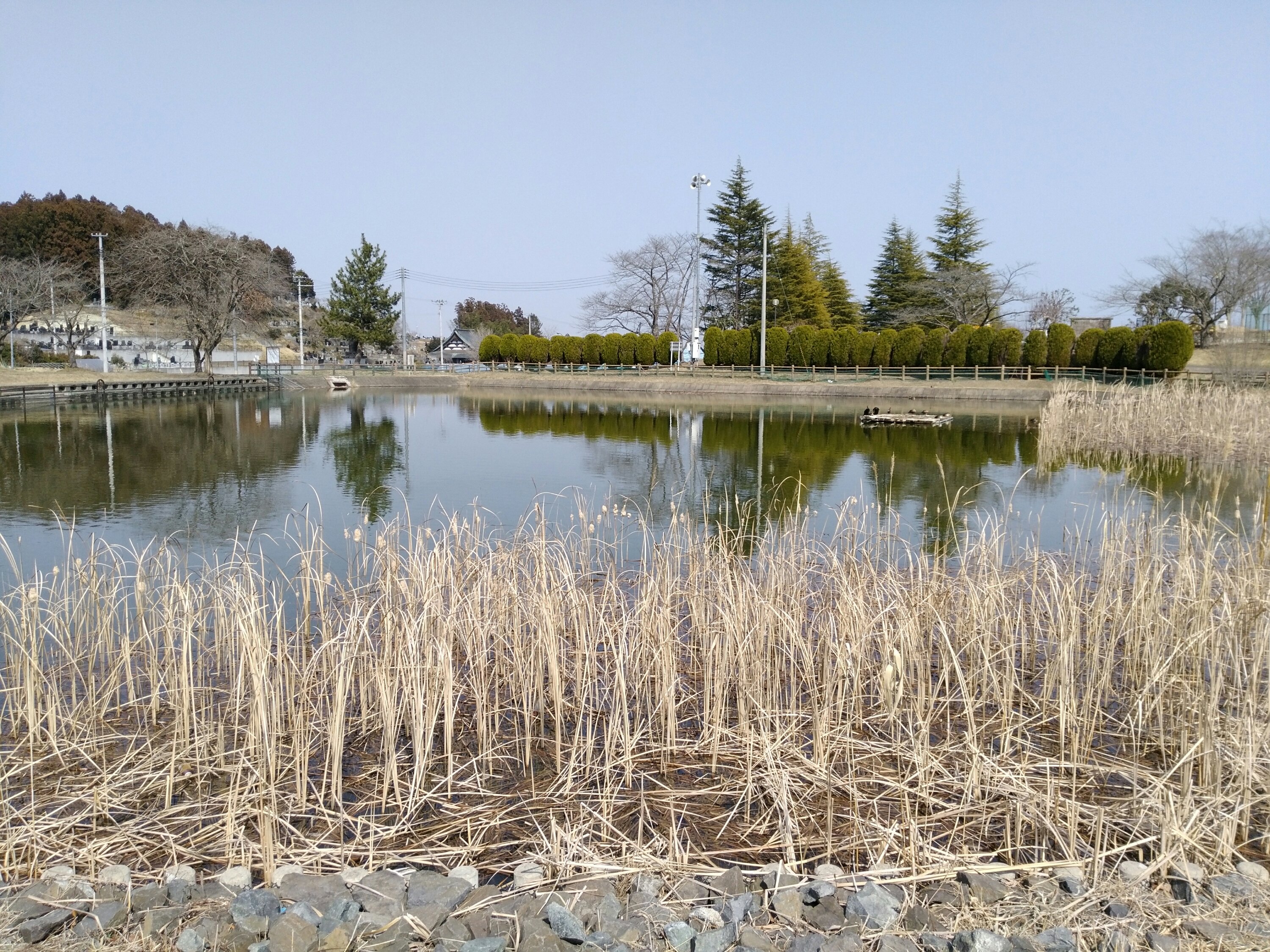 修景池 亘理公園 修景池
