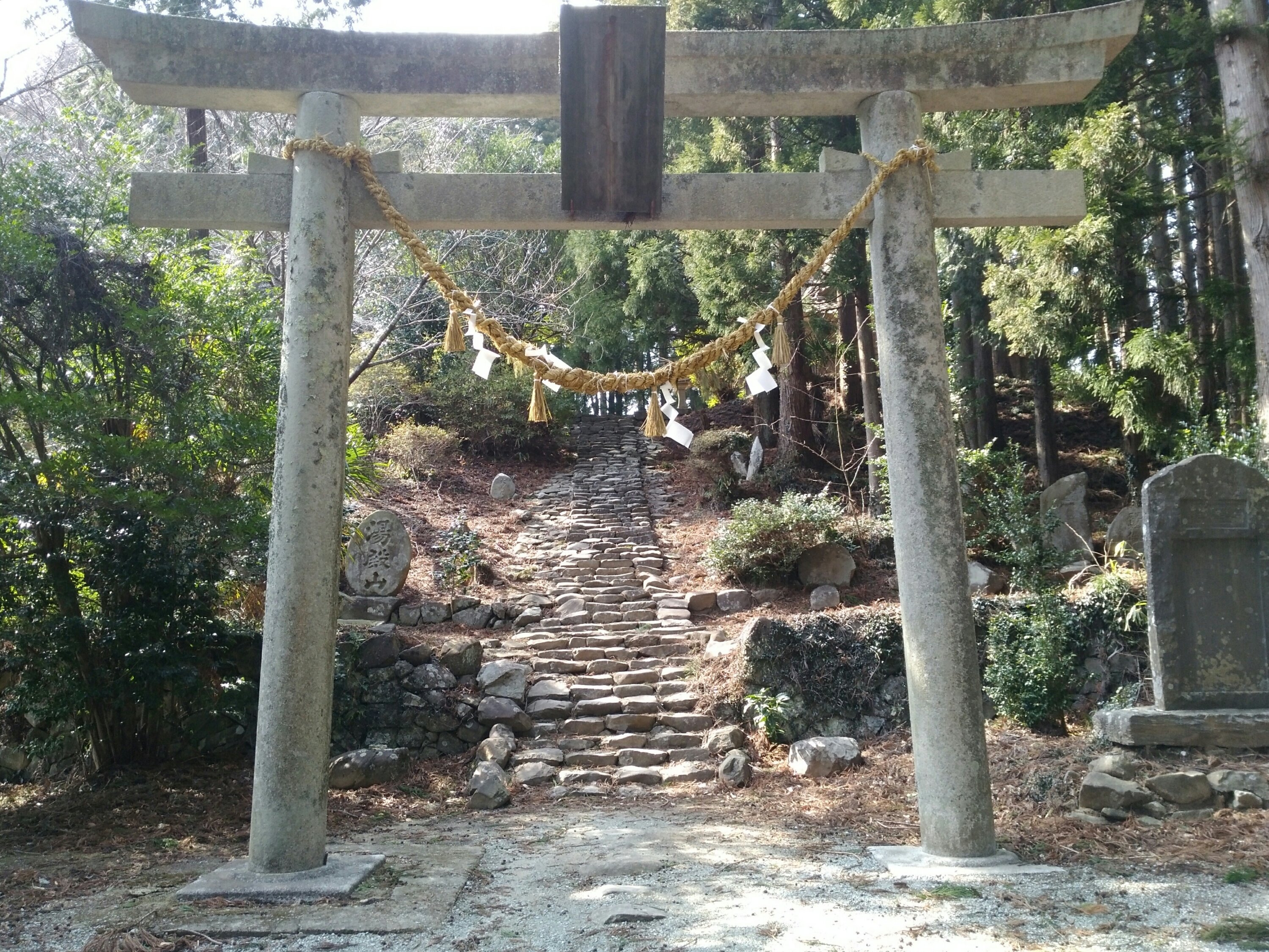 鳥居 深山山麓少年の森(菱沼の里) 鳥居