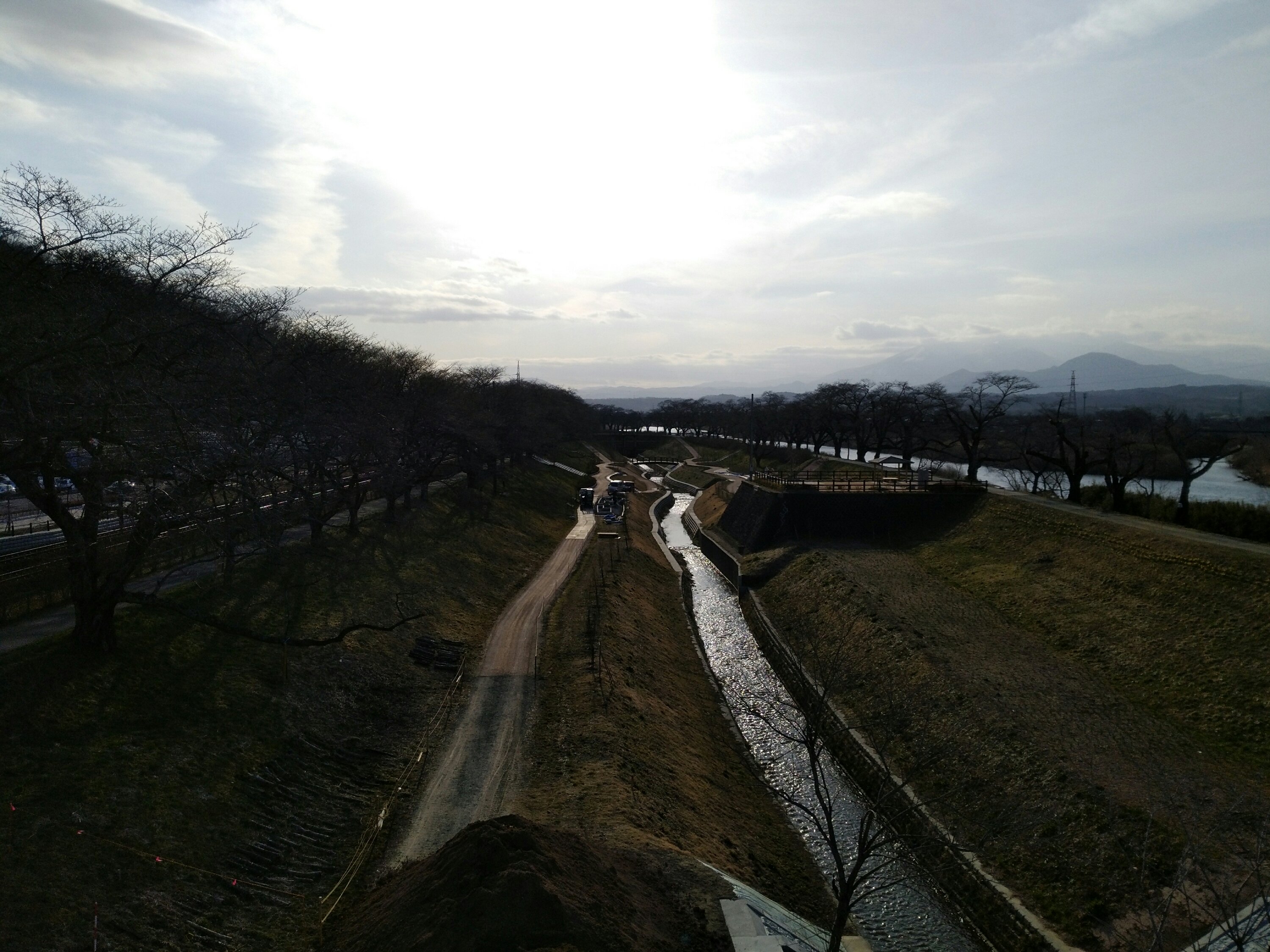 しばた千桜橋 桜並木 船岡城址公園 しばた千桜橋 桜並木