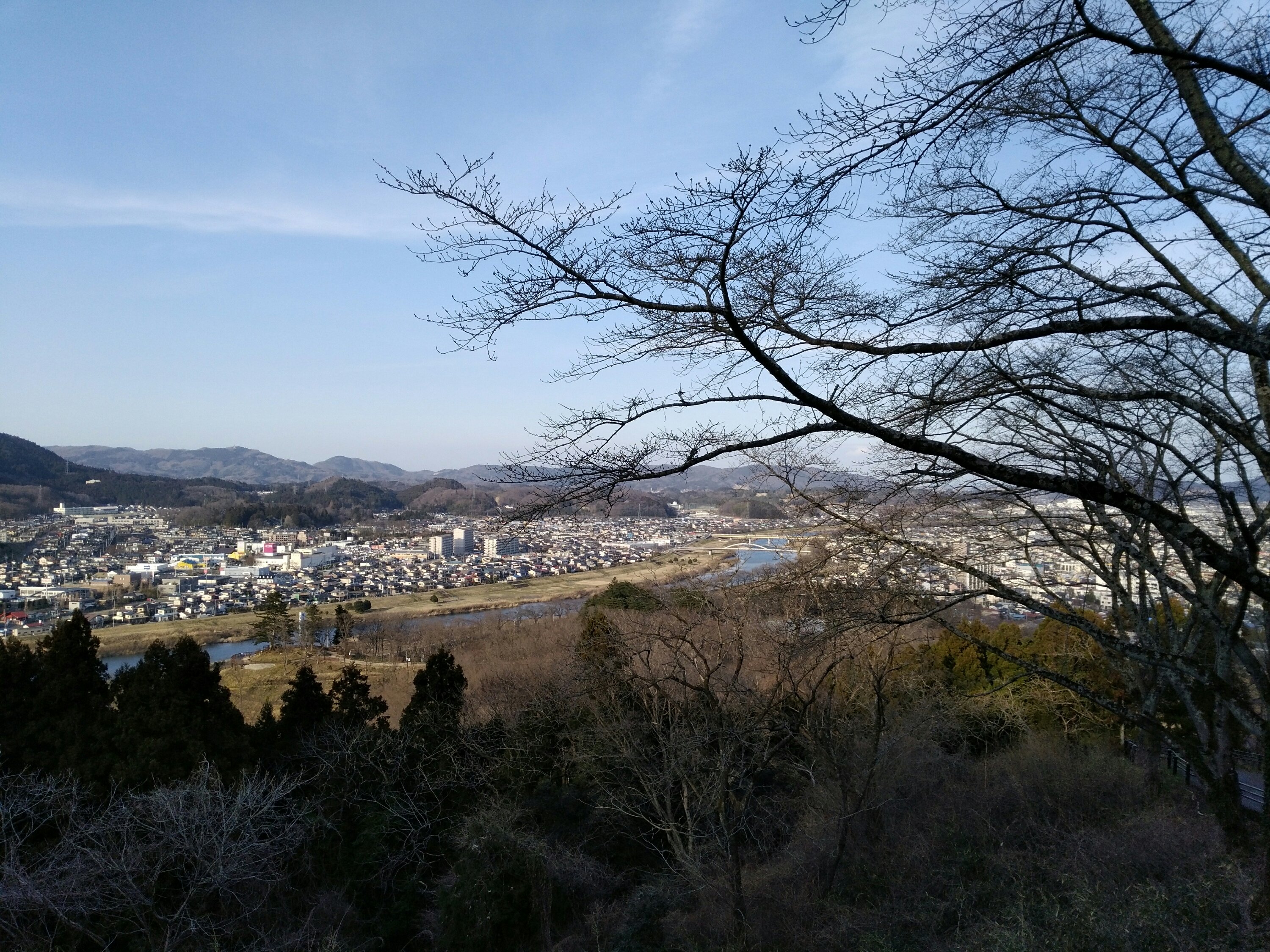 レンギョウの小道 景観1 船岡城址公園 レンギョウの小道 景観1