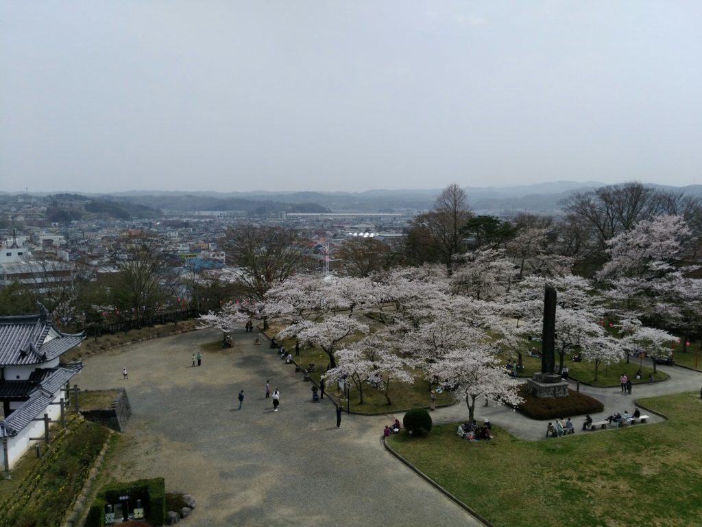 白石城　天守閣から花見広場の桜