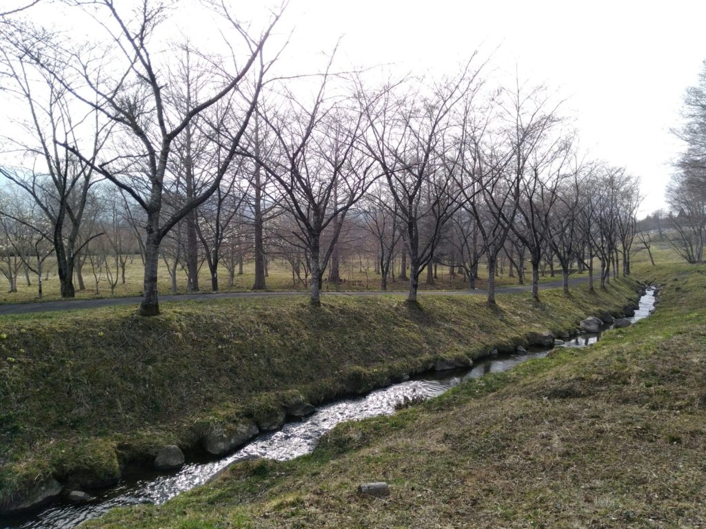 七ヶ宿自然休養公園　桜の森