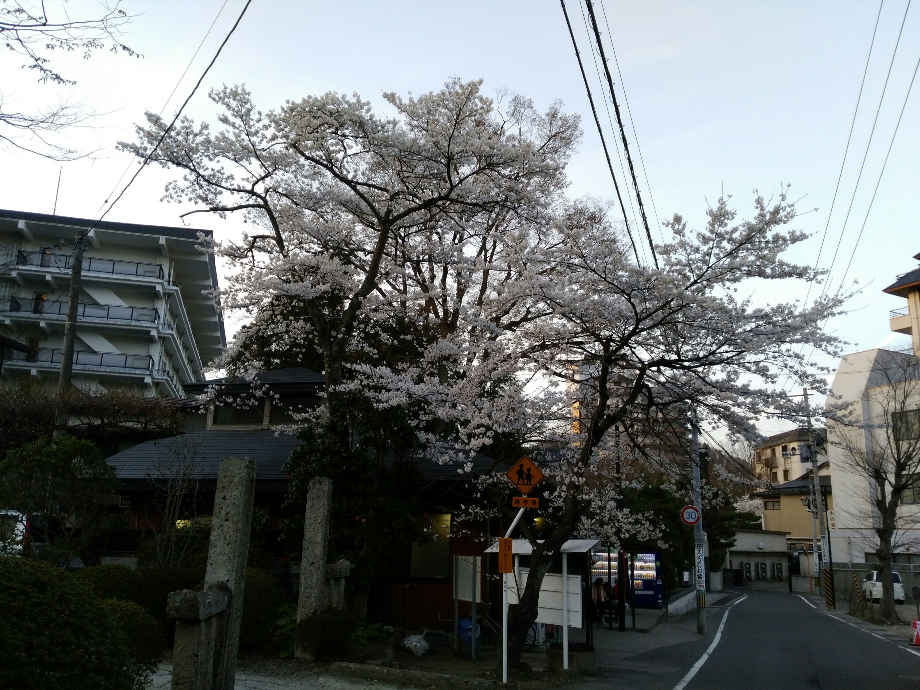 秋保共同浴場 桜