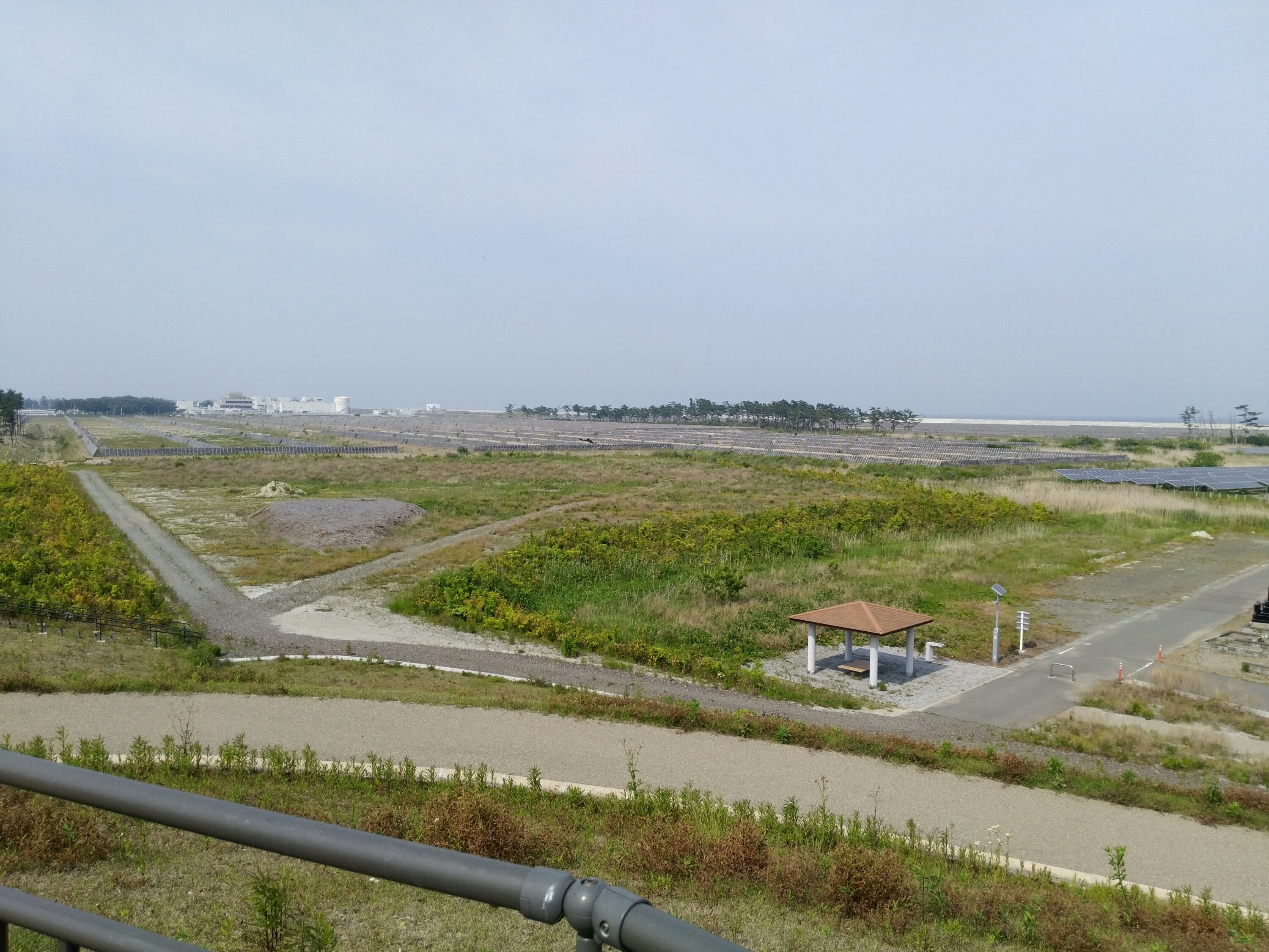 7号丘からの海岸方面