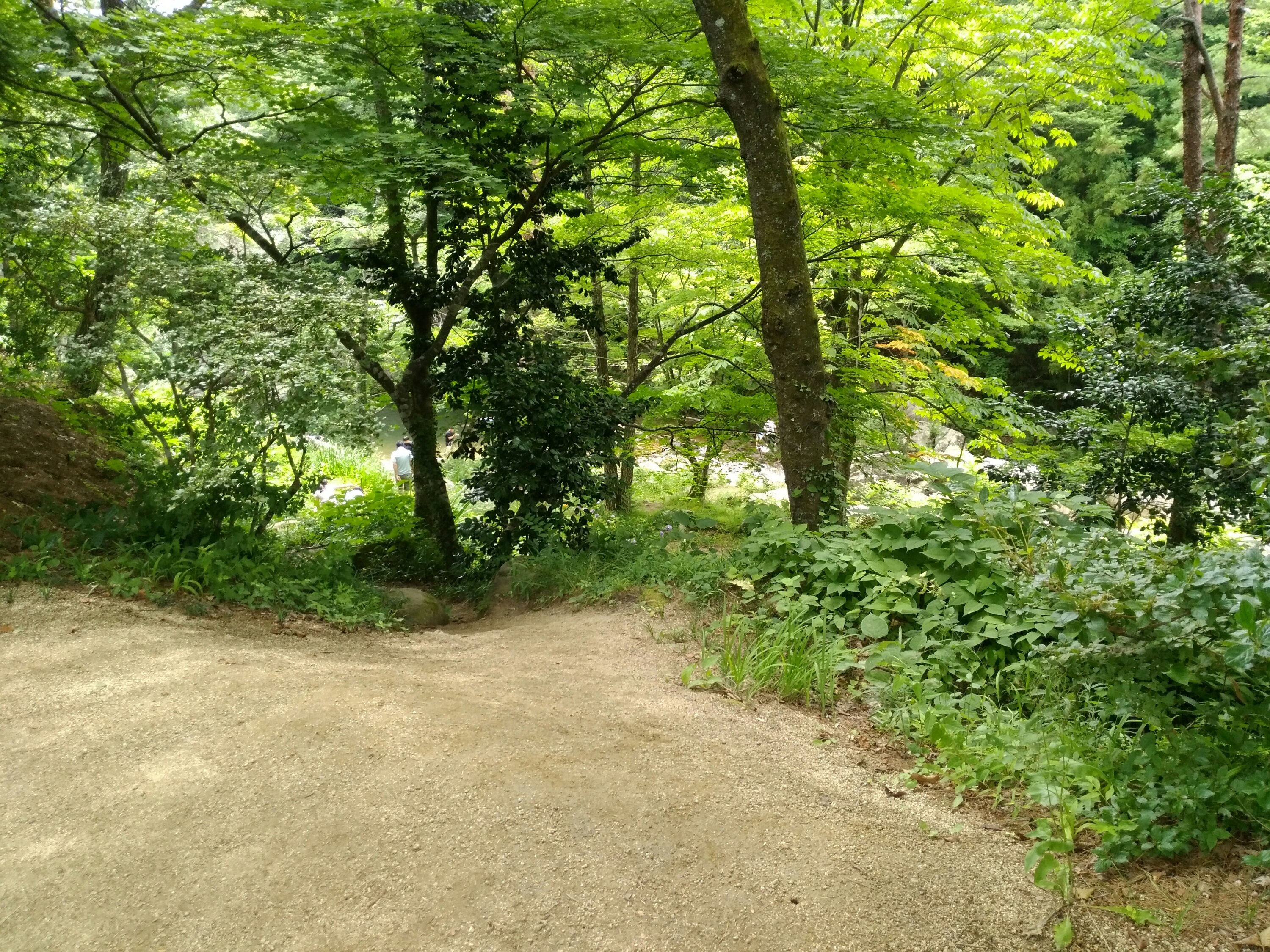 川原へ続く道