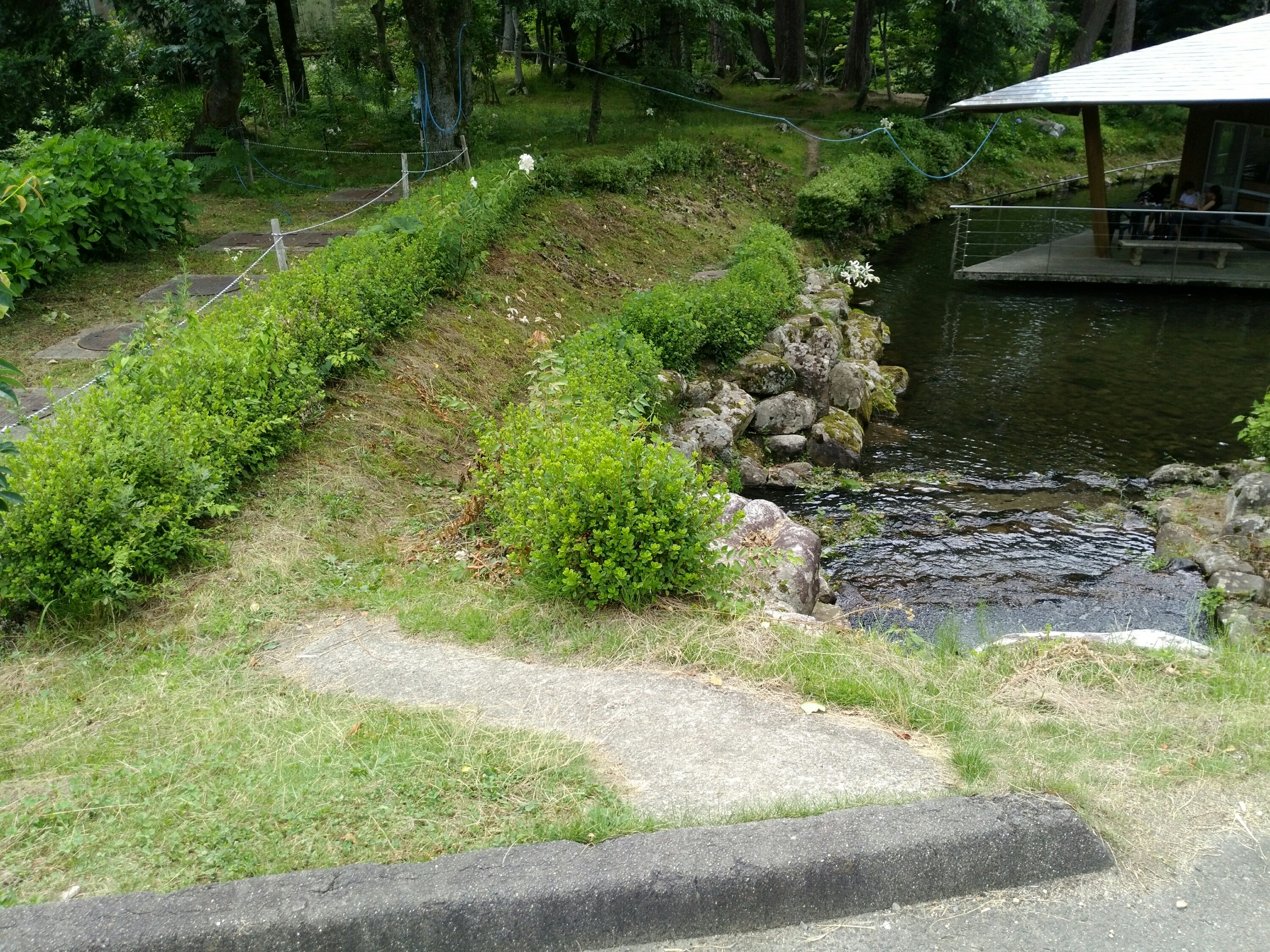 天水舎の脇道