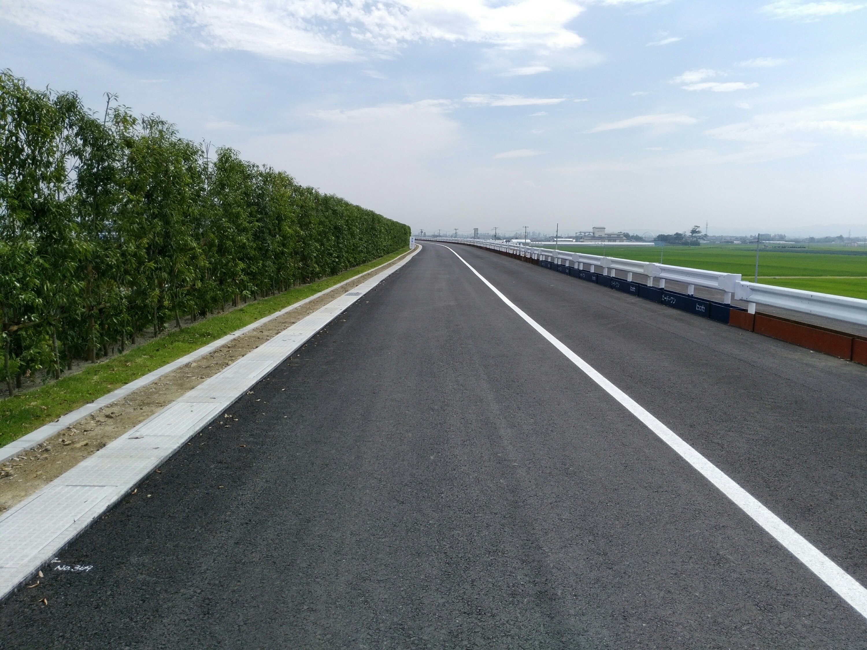 海岸公園のかさ上げ道路