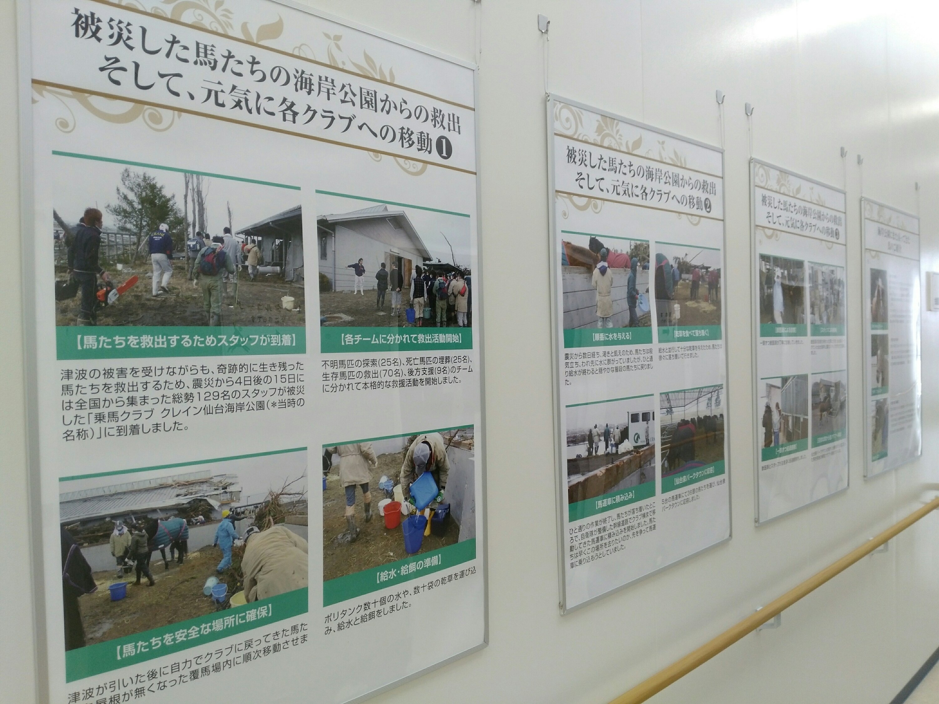 若林区馬術場の歴史