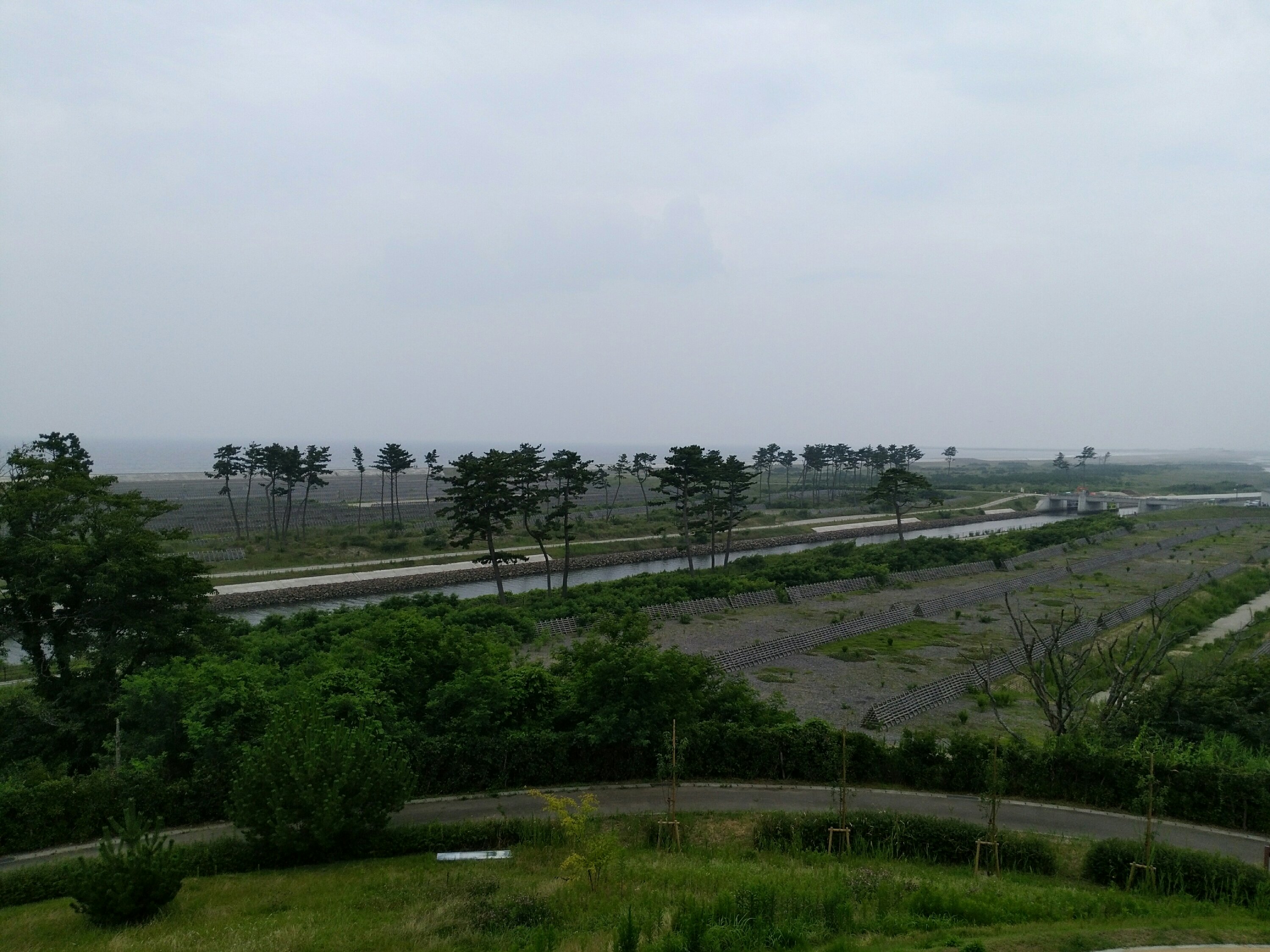 展望台からの景色(海側)