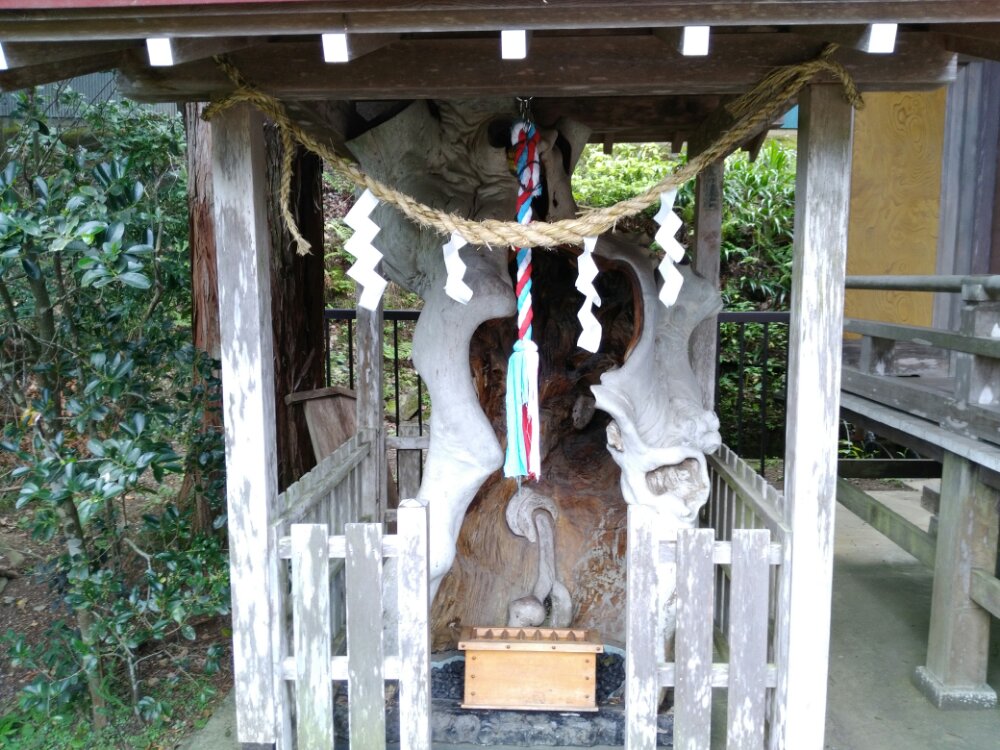 金蛇水神社の御神木
