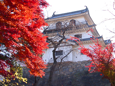 白石城 紅葉