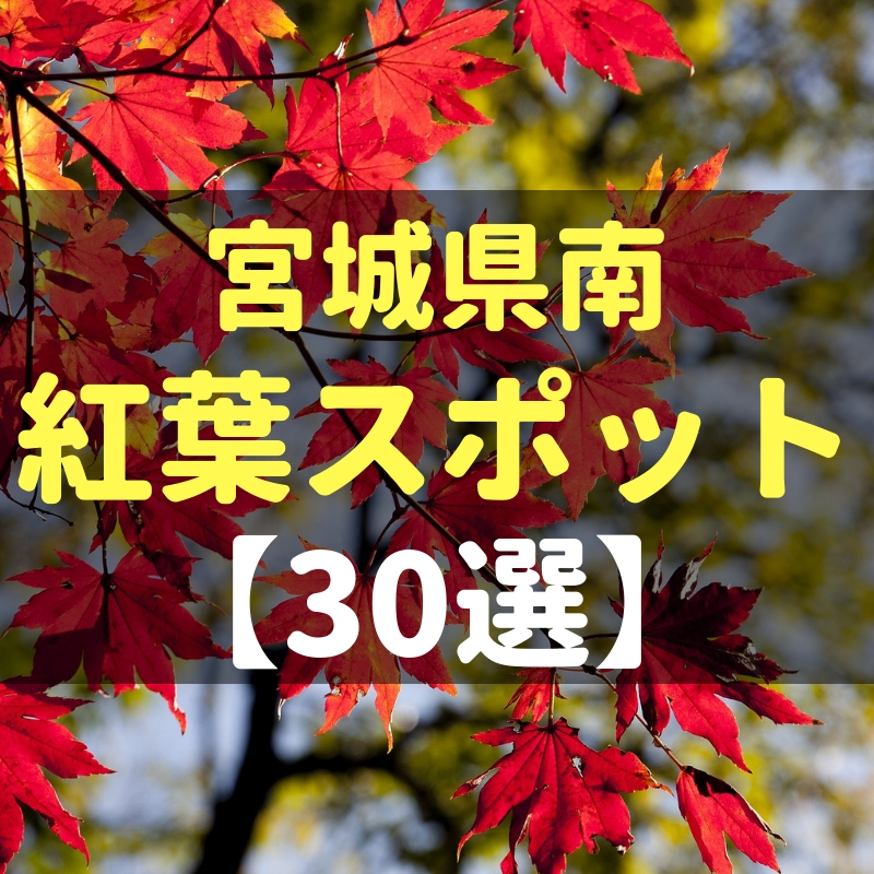 宮城県南 仙台市太白区 紅葉スポット30選 人気スポットから穴場まで収載 仙台南つうしん