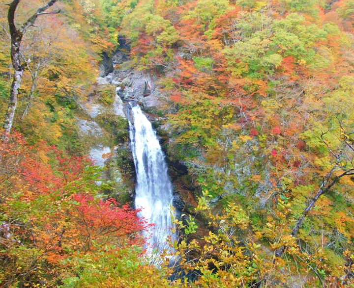 秋保大滝の紅葉