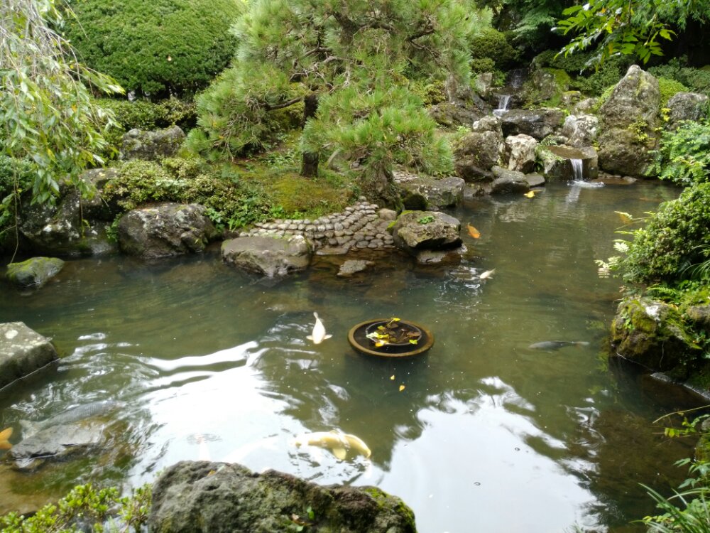 金蛇水神社の神池