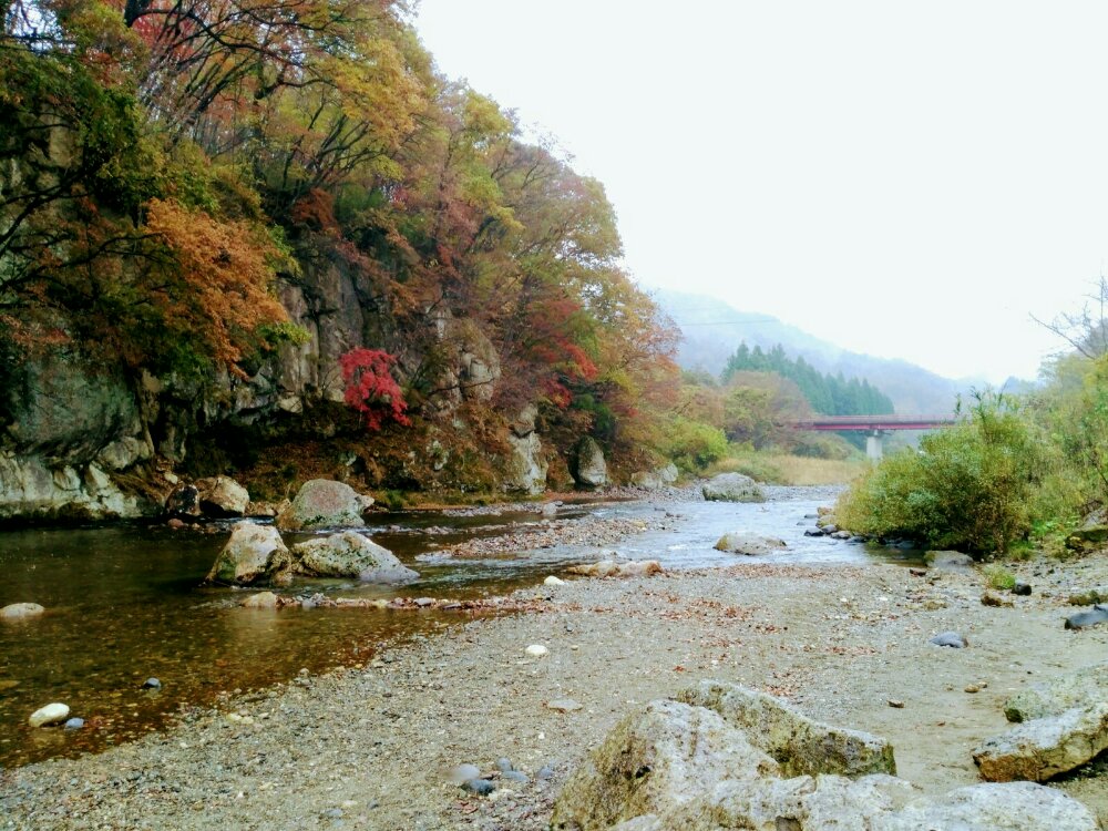 秋保 羽山橋の紅葉