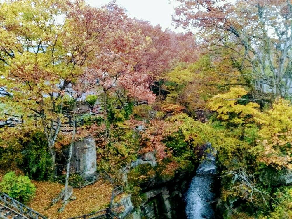 秋保　磊々峡の紅葉