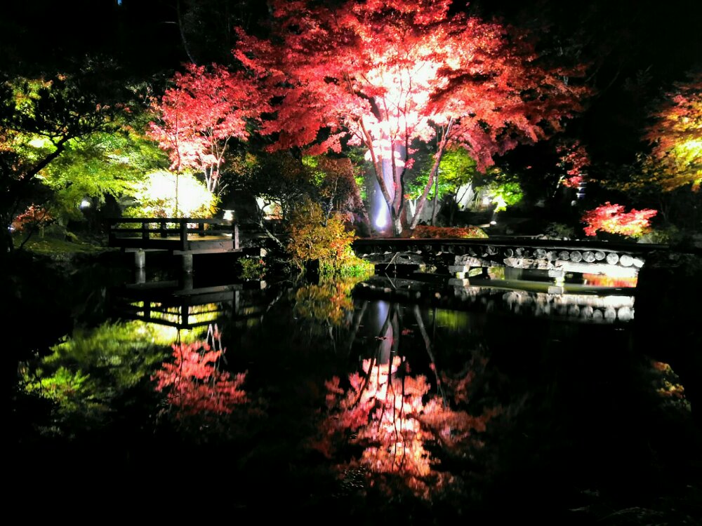 池に写る紅葉ライトアップ