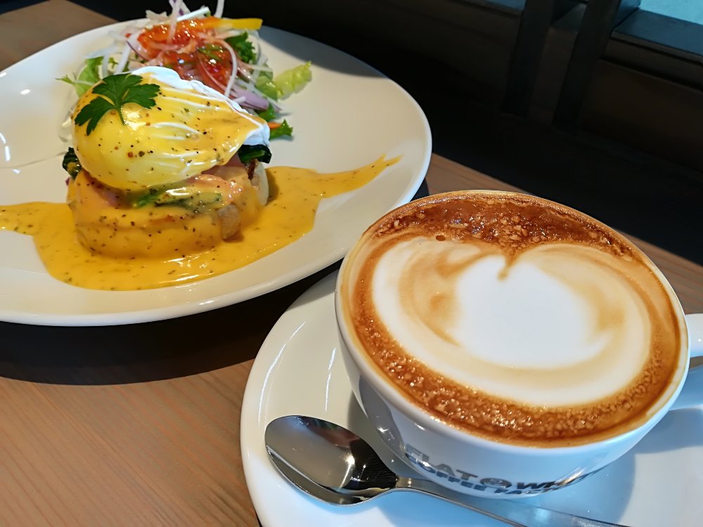 お店レポ フラットホワイトコーヒーファクトリー仙台荒井店でランチ 店舗一覧 仙台南つうしん