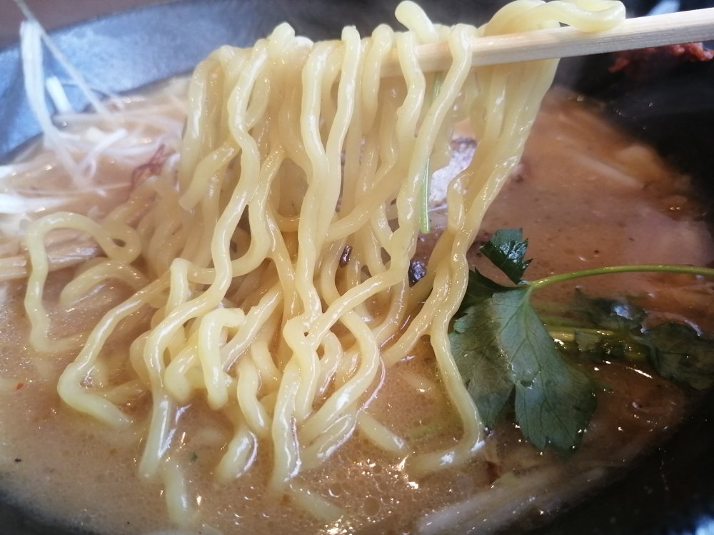 味噌の麺