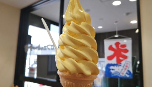 【体験レポート】白石市 おもしろいし市場｜竹鶏たまごの濃厚ソフトクリームが美味しい！