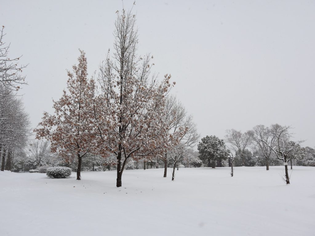 暴風雪に注意 1月7日のjr運休情報や気象情報まとめ 仙台市 仙台南つうしん