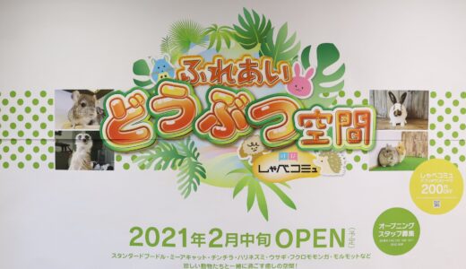 【新店情報】仙台駅前イービーンズに『ふれあい動物空間しゃべコミュ』が2月中旬オープン！