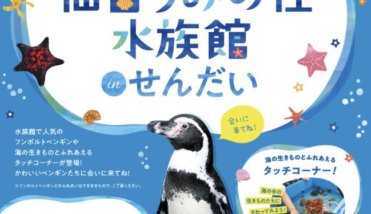 エスパル仙台で出張水族館開催！フンボルトペンギンがやってくる！