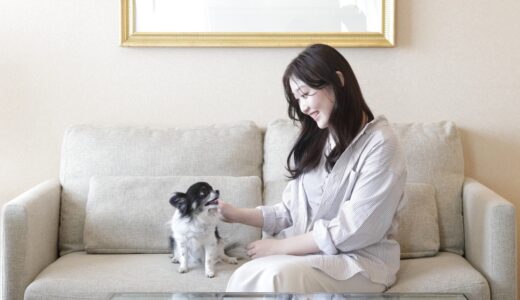 仙台ロイヤルパークホテルに初の「愛犬と泊まれる宿泊プラン」登場！ペット用アメニティやディナーメニューも