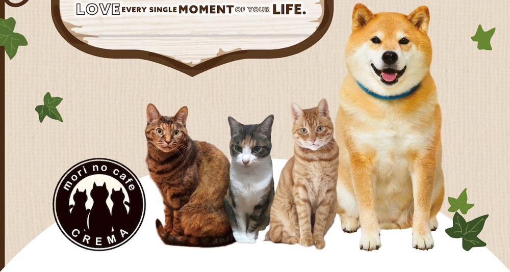 杜のカフェ Cremaがフォロワー250万人の人気ワンちゃんとコラボ 7月27日から開催 仙台南つうしん