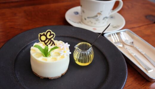 【お店レポ】太白区西多賀の「カフェこもれび」で贅沢はちみつチーズケーキ