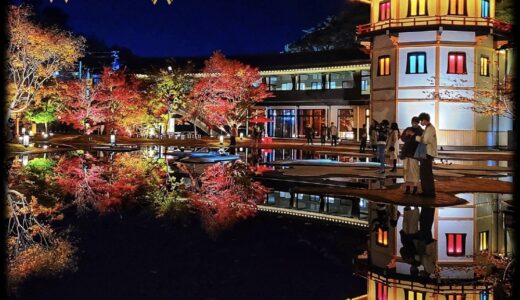 【宮城県】松島離宮で幻想的な紅葉ライトアップが10月29日からスタート！