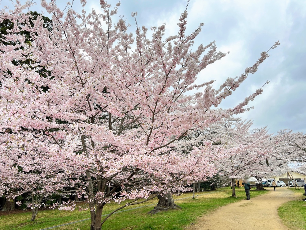 花台￼送料込み￼ 花台 ガーデニング 屋外」の人気商品一覧 | 安い商品を通販サイトから
