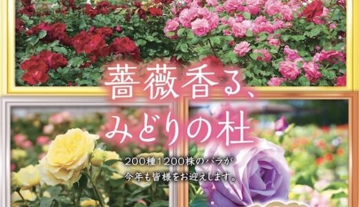 【仙台市】せんだい農業園芸センターで「バラ祭り2023」開催！マルシェでは焼き菓子なども