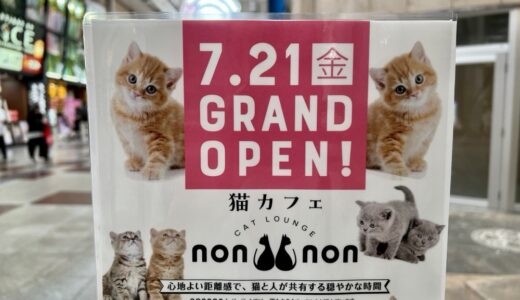 【仙台市】アーケードに猫カフェ「キャットラウンジノンノン」が7月21日オープン！
