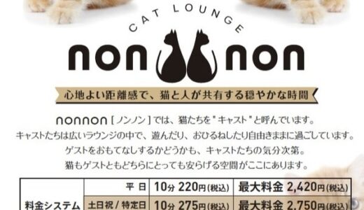 仙台市太白区に「猫カフェ」が3月15日オープン！