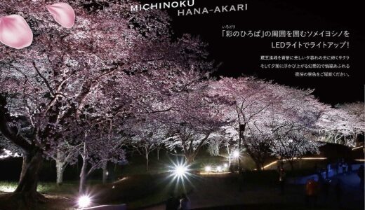 宮城県川崎町で「夜桜ライトアップ みちのく花明かり」開催！