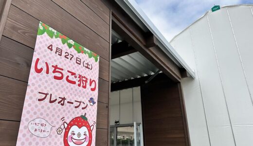仙台市若林区の新たな商業施設「仙台ハーベストビレッジ」で“いちご狩り”がスタート！