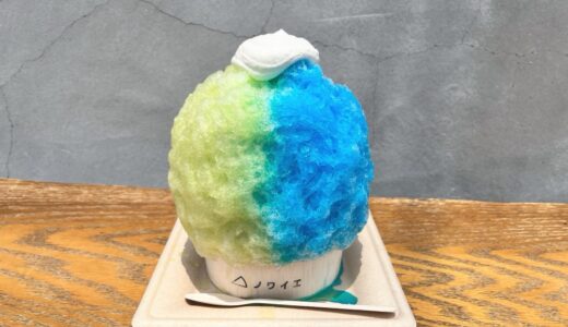 【レポ】2024新作のメロン＆ソーダかき氷｜華やか美味しい ケーキ屋さんが作る人気かき氷