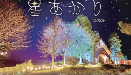 宮城県最大級のライトアップ「やくらいガーデン 星あかり」開催！