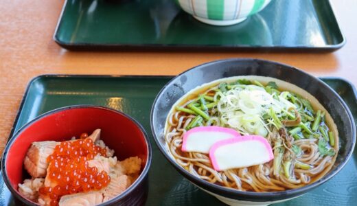 【レポ】宮城県名取市の食堂ではらこ飯・せりそばセット＆せり牡蠣丼