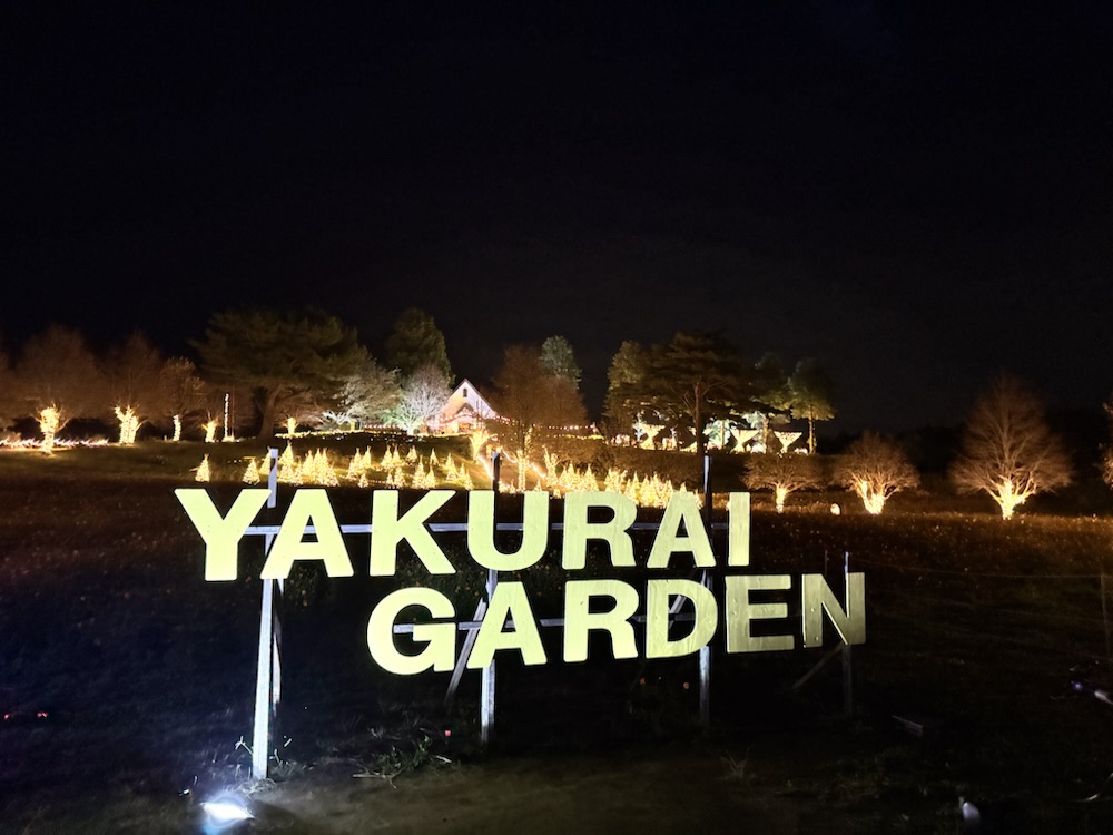 夜明け ✧🌸#八面山 の夜が、桜色に染まる🌸✧˖° ライトアップ