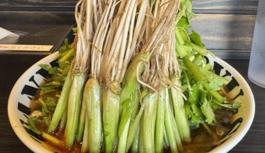 【ラーメン日記】せり大量！仙台芹酸辣湯麺 芹Heaven
