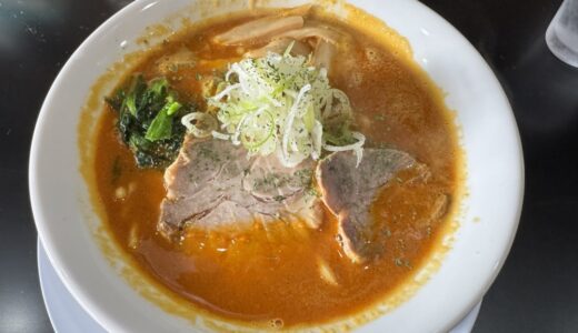 【ラーメン日記】宮城県名取市で最高のカレーラーメン1200円